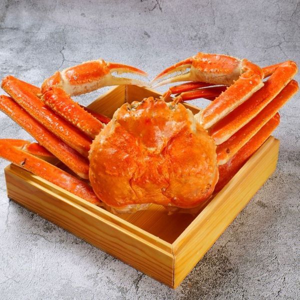 Picture of Matsuba Kani